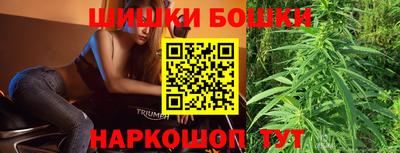 шишки Лесосибирск