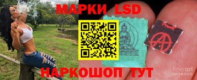 эйфоретик Малгобек