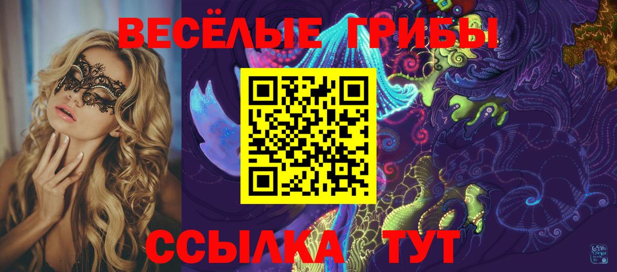 Галлюциногенные грибы Psilocybe Томск