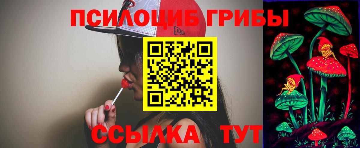 Томск  Псилоцибиновые грибы MAGIC MUSHROOMS  Вход с VPN 